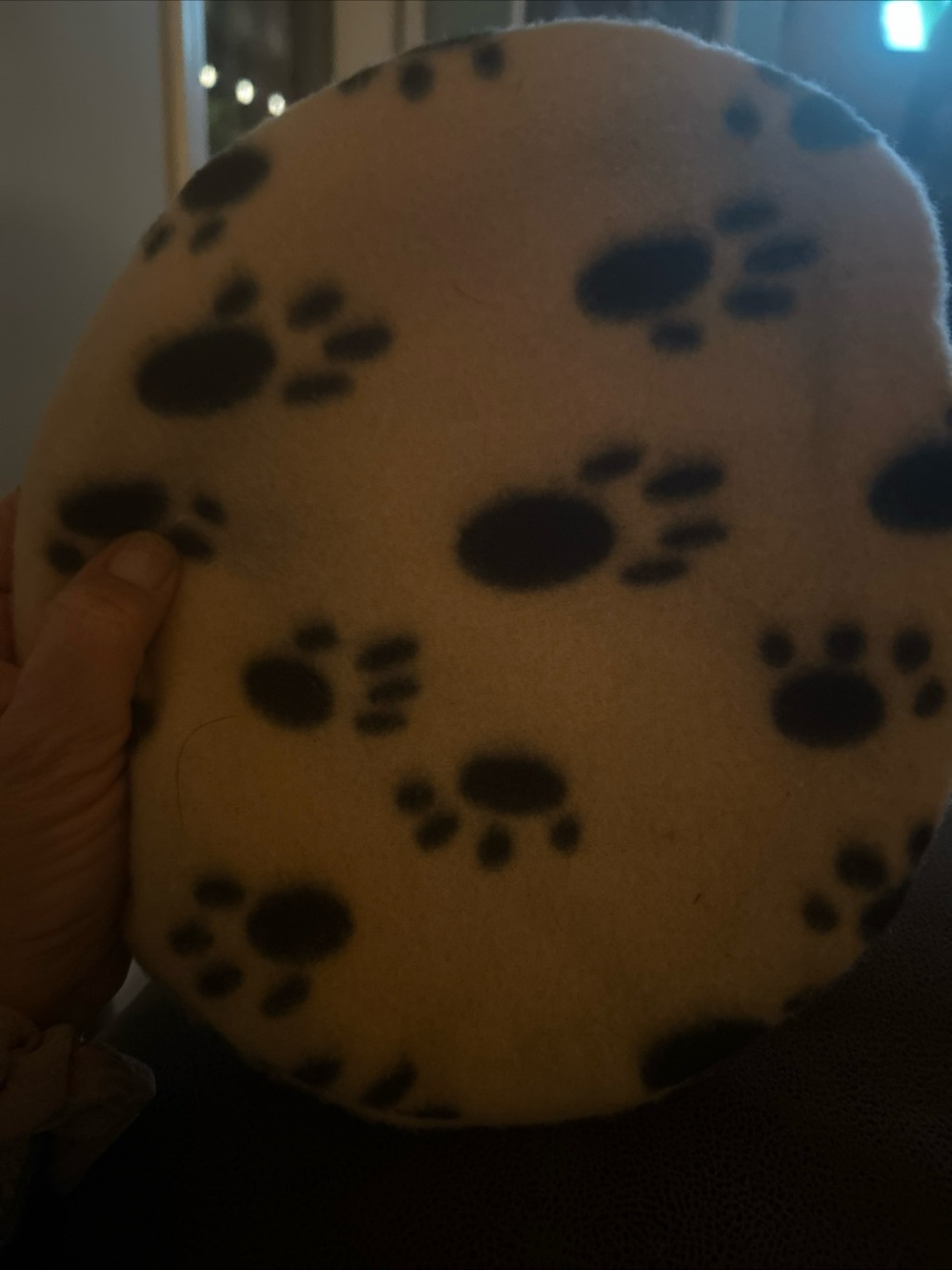 Pet heating pad microwave